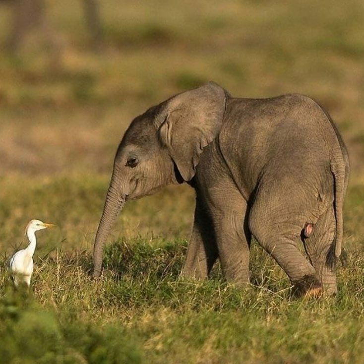 सब कुछ कितना सुंदर लगने लगा है, ये संसार हो गया है प्यारा प्यारा