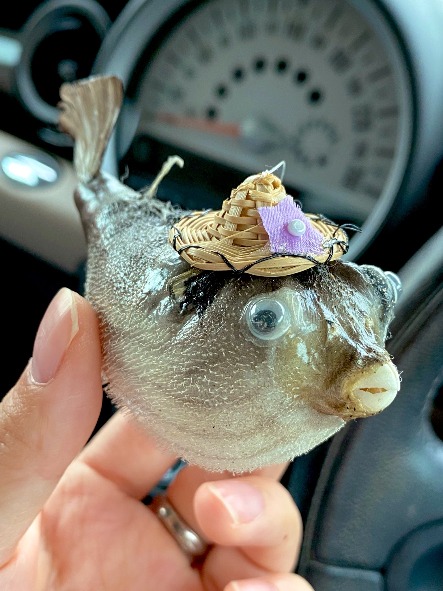 A Lyrica Twitterissa ふぐ提灯の作り方見てる ちなみに私のお車にはドバイからやってきたハチのオーナメントとこんなちっちゃい ふぐ提灯がぶら下がってるよ 超絶可愛かろう T Co S0tmm6oifs