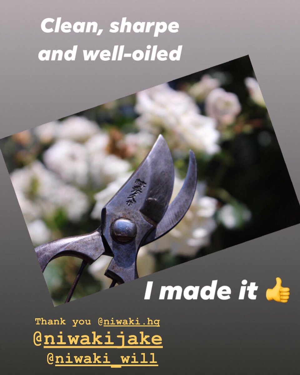 makiko_mds's tweet image. After #lockdowngardening , definitely my #secateurs have to be treated well🌟#niwakitools #niwaki #japanesetools
#staysafe #protectlovedones #flowerphotography #still_life_mood 
#fourseasonsforyourgardenmdsmay #englishgarden #mygarden  #マイガーデン
#四季ある庭を届けたいmds5月