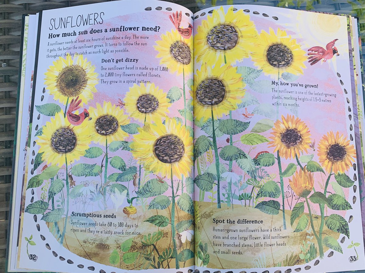 Enjoying this stunning book in the sunshine! Adding more inspiration to my new found love of gardening! 🌺🌸🌹🌼🌷🌻Pure delight! Thank you @yuvalzommer #TheBigBookOfBlooms