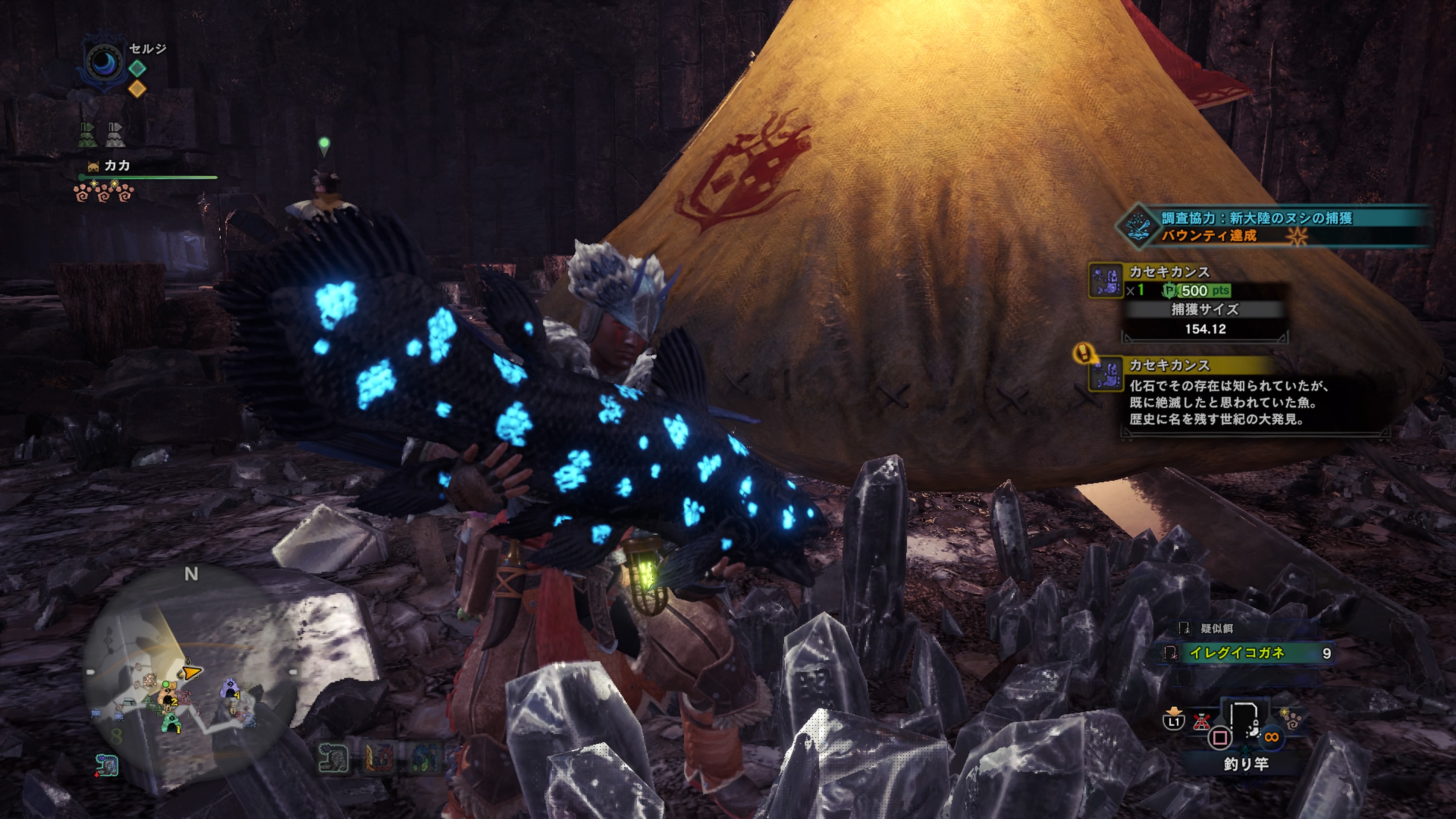 ねぎとろ 生きた化石 T Co Ssevet1wed Twitter