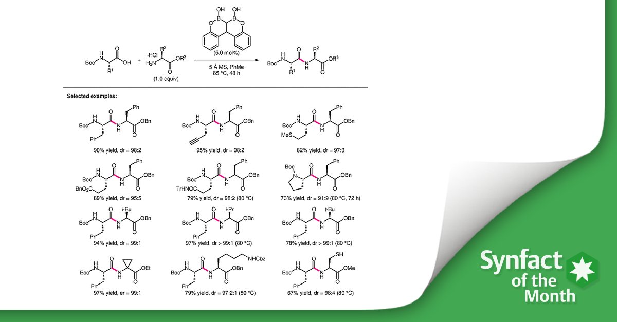 thiemechemistry's tweet photo. ❇️Before we all start into a new week, here is another #Synfact of the month for you! Do not wait until Monday to learn about boronic acid catalyzed dehydrative amidation of amino acids❗ 
⚡ Start reading now 👉https://t.co/3cFMzEbdOj
@TakemotoLab @KyotoU_News https://t.co/hLIH6MfjAh