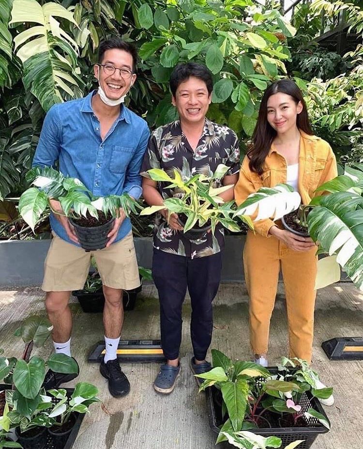 🍃🌳🌲🌿 with <a href="/Weir19both/">เวียร์ ศุกลวัฒน์</a> 
#เวียร์เบลล่า #เบลล่าราณี #bellacampen 
cr : cactus_sweethouse