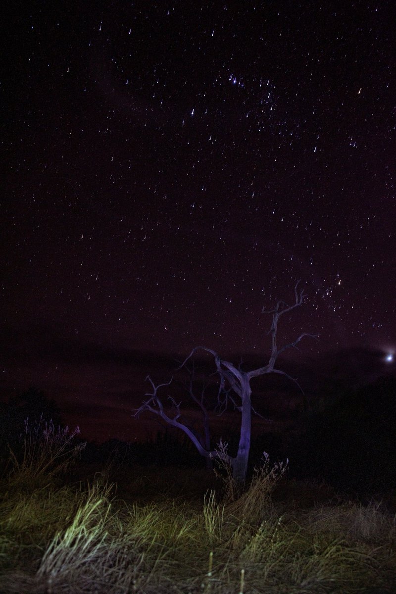 de_merlyn's tweet photo. Milky way from horizon to horizon every night https://t.co/gPey1jCeuV
