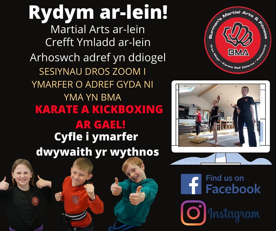 We are still open online.  Join us , it's great for both mind and body. #fitness #fun #exercise #training #martialarts #friends #live #SmallBusinesses #learntogether