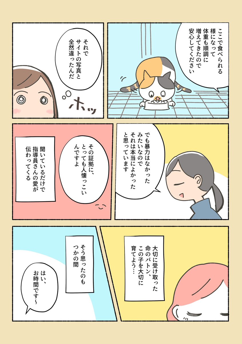 保護猫ちゃんを家に迎えるまでの話⑩

選ばれたのは、綾鷹でした。(違う、そうじゃない)

次がラスト〜〜!!
①から読んでくれる方、私の固定ツイにしばらく置いてます、ぜひ! 