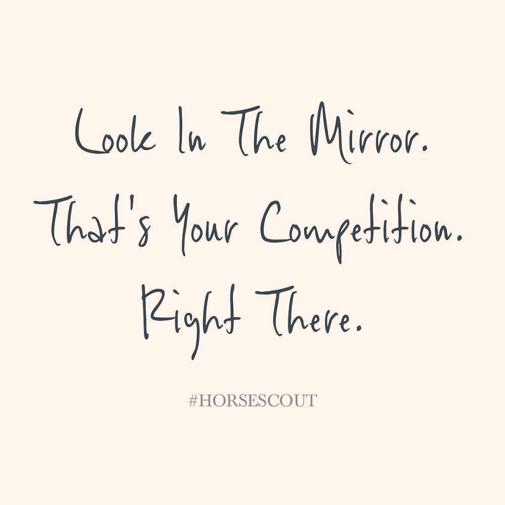 || <a href="/HorseScoutTeam/">HORSE SCOUT GROUP</a> ||