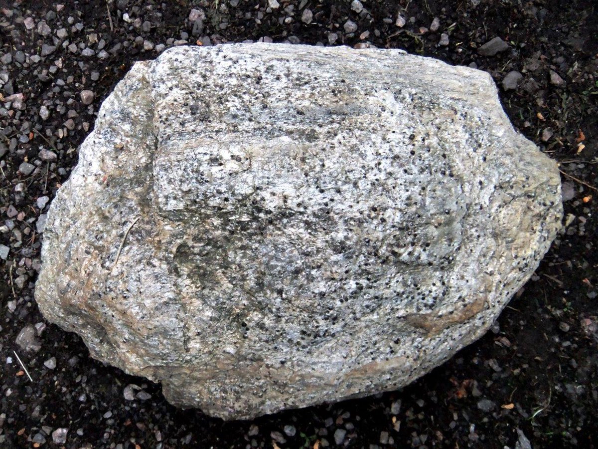 Today our #Cateran100 poem is 

'Highland Boundary Fault, Balmaha' 

by Alison Cohen, who one 1st Prize in the #HughMillerWritingCompetition 2020

bit.ly/304QJxx

Thank you Alison!

#Cateranpoems