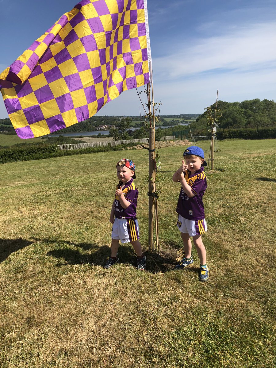 Micheál tweet media