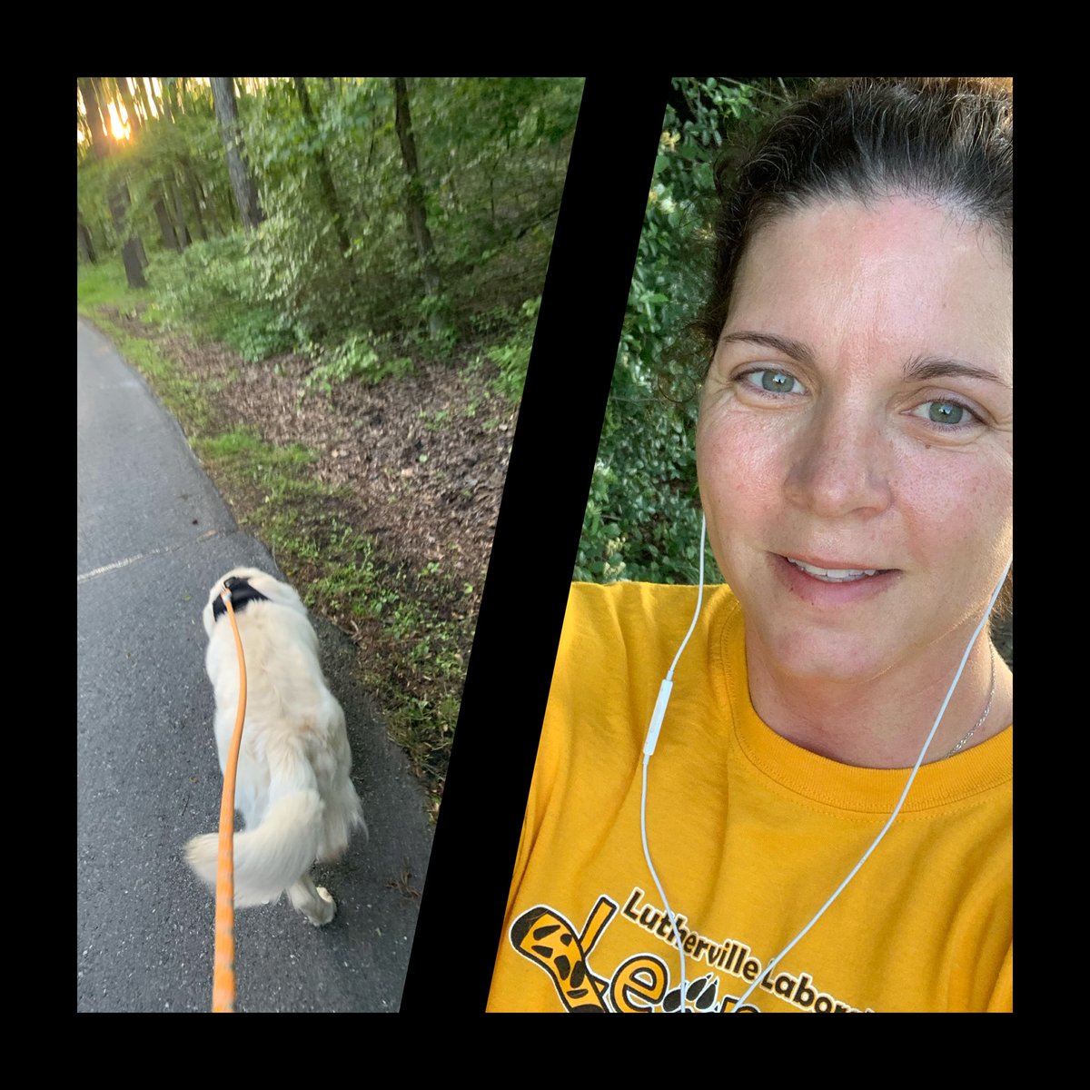 MollyBissell's tweet photo. GM Lutherville! This guy wanted to run early this morning! It is a beautiful day for a 1 mile Run/Walk! Let’s see your pictures! #LuthervilleLabRun @LuthervilleE https://t.co/OvAjPnwOMW