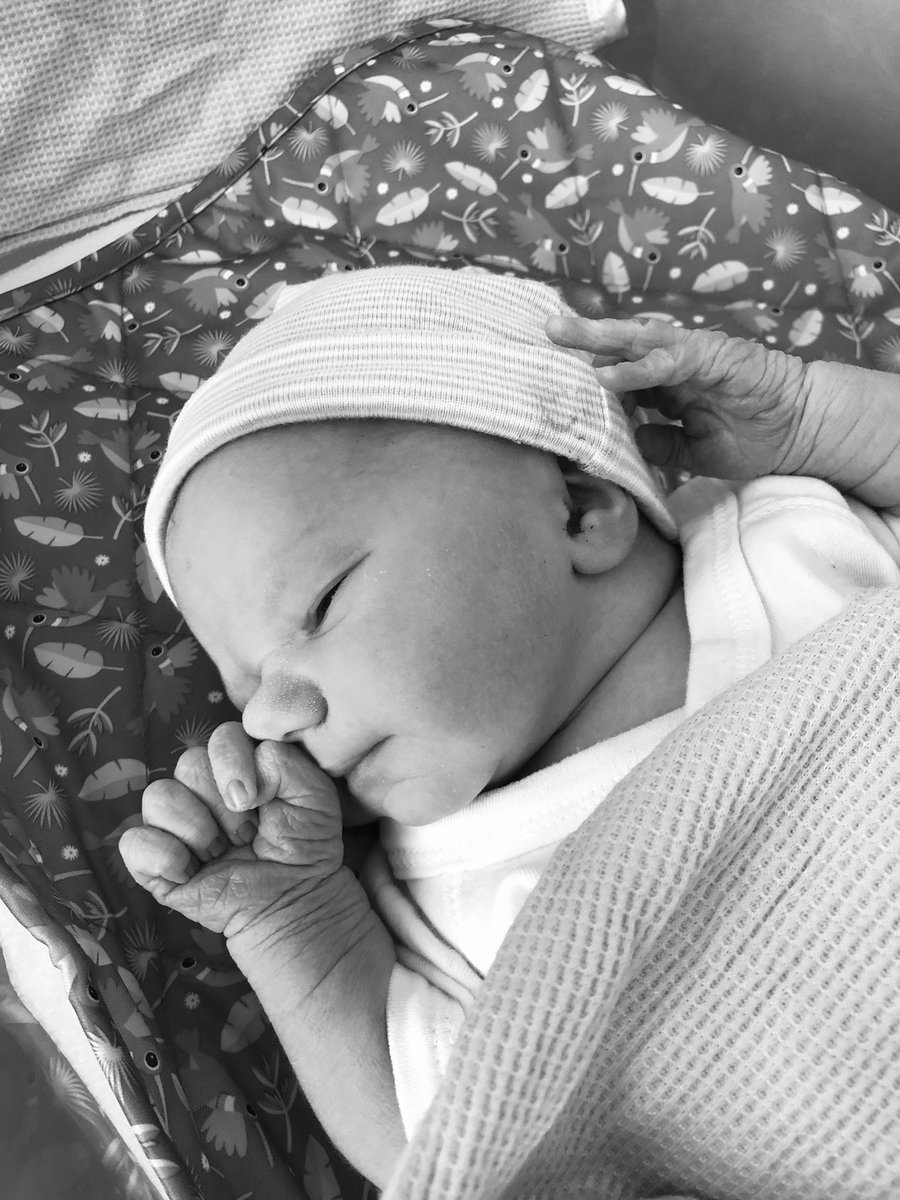 Before my soul fractures from all the hate and chaos in the world, here’s something amazing (for me anyway)......a new member joined my little pack on Friday. 

#bekind