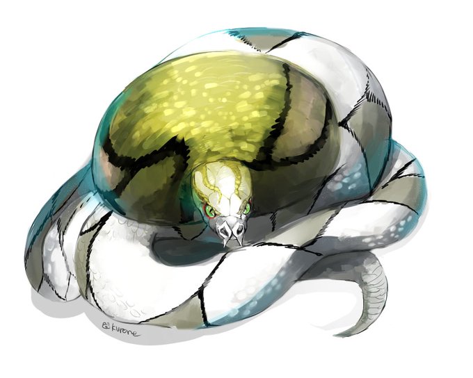 サダイジャのtwitterイラスト検索結果