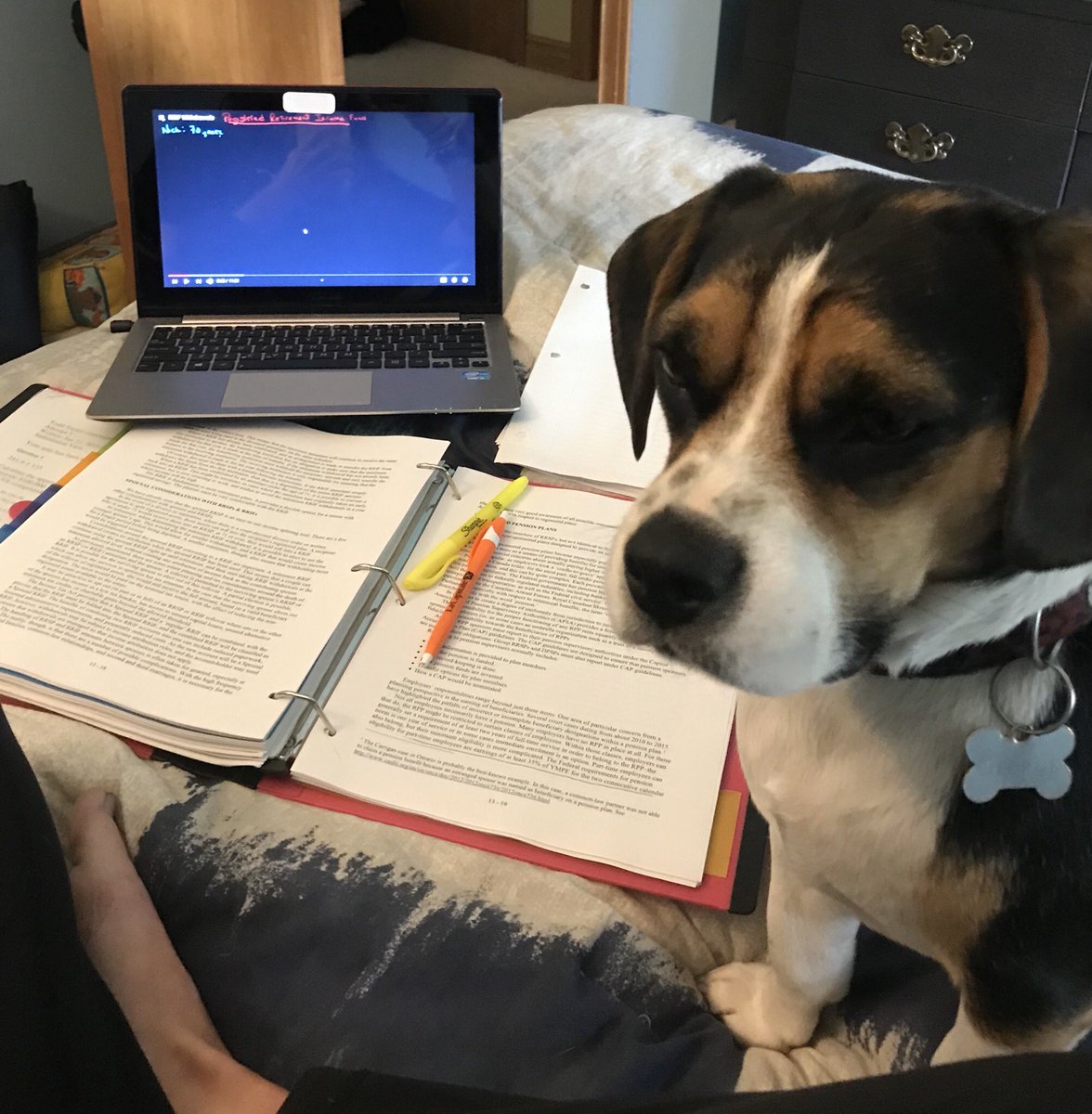 afburton15's tweet photo. #CFP study buddy. #investments #incomesplitting and #pensions George is learning so much! π€π https://t.co/0tFu86BoFi