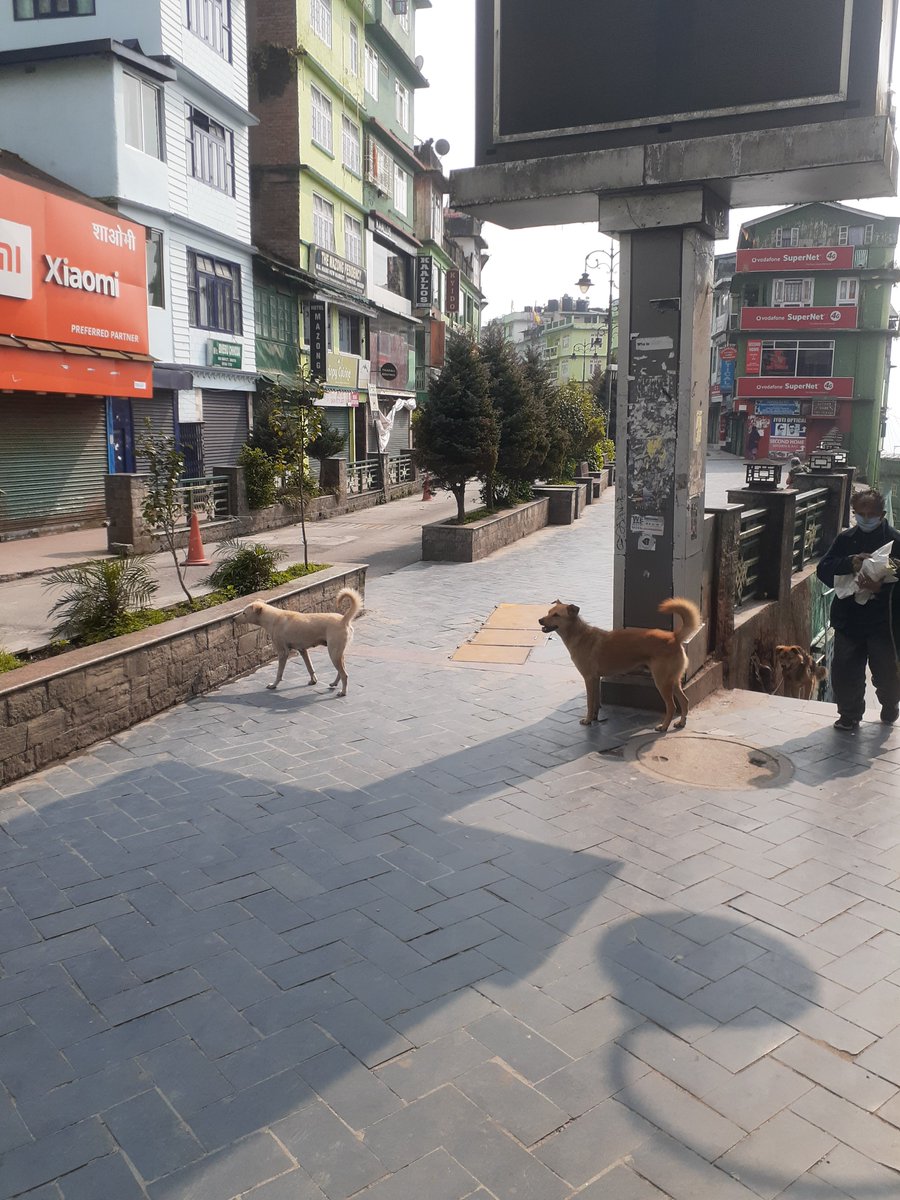 DeepRai011's tweet photo. #Gangtok#Capital#Cityof#Sikkim#India during Lockdown due to COVID-19.
#SatyHome#SatySafeAll. https://t.co/weute1ZrsQ