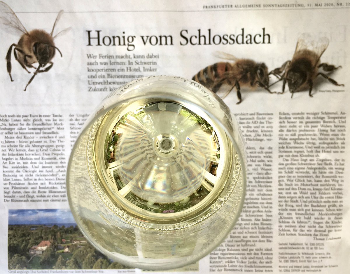 Interessante Kooperationen für #Bienen: 
Hotel arbeitet mit einem #Imker zusammen
- nachzulesen in der #FASZ (31. 5., Reise-S. 52). Lektüre zu #Pfingsten: „Umweltbewusstes #Reisen der Zukunft könnte so aussehen“ - mit #Honig vom Dach. 
Und Rotem #Riesling aus dem #Bienengärtchen?
