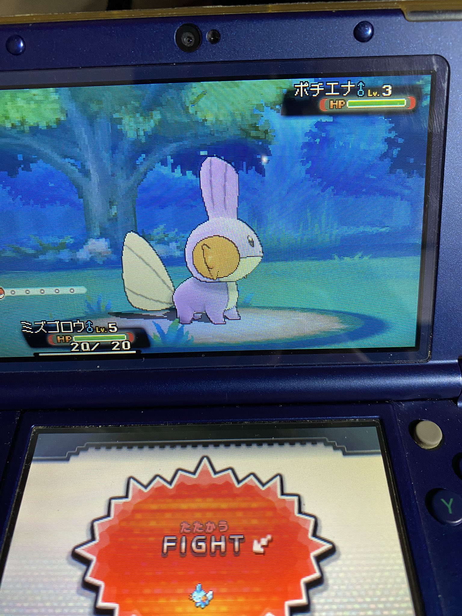 Esrain オメガルビーでやっとミズゴロウ色違いｷﾀ ﾟ ﾟ ポケモン色違い T Co Kw7sirc8xj Twitter
