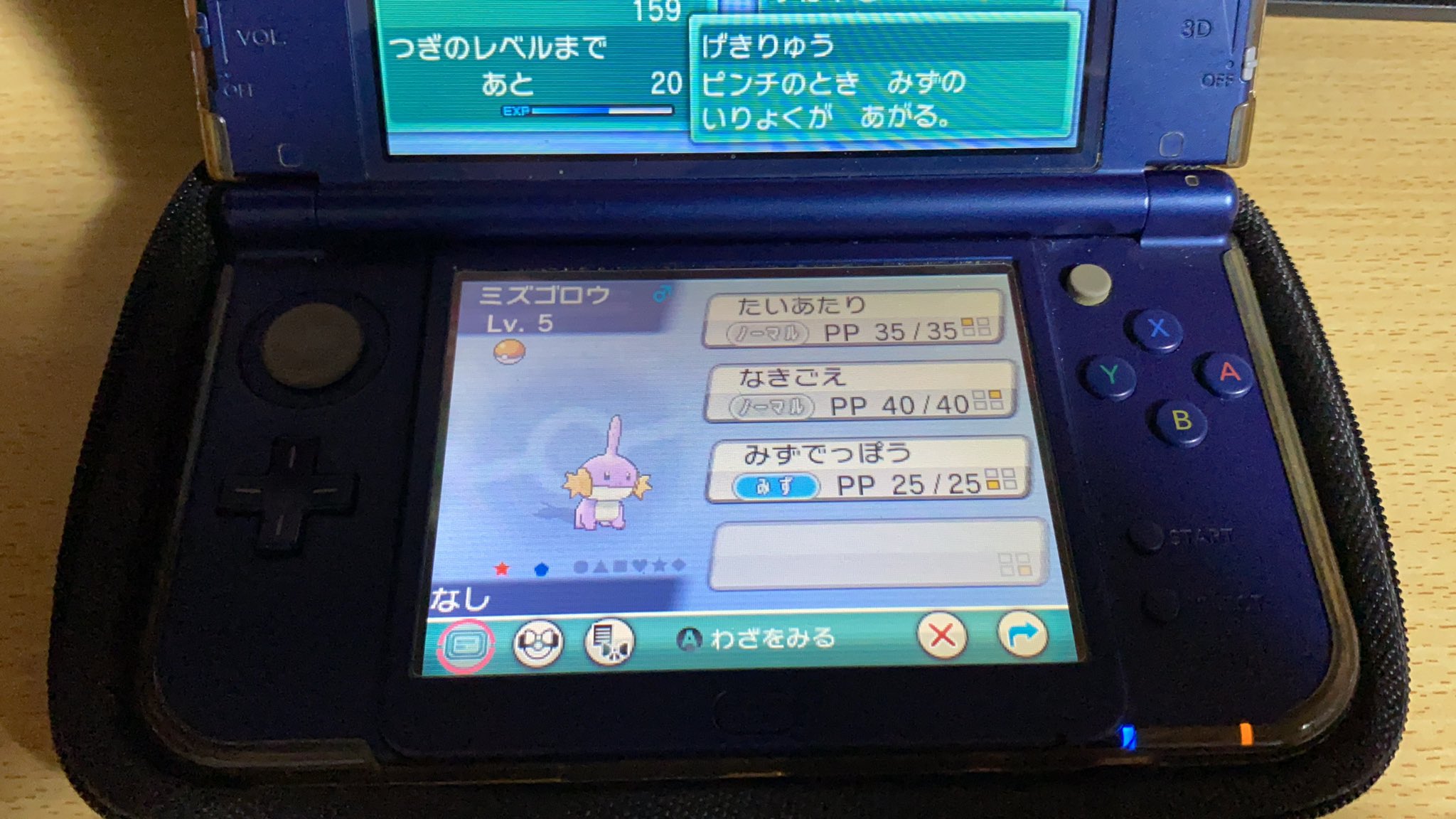 Esrain オメガルビーでやっとミズゴロウ色違いｷﾀ ﾟ ﾟ ポケモン色違い T Co Kw7sirc8xj Twitter