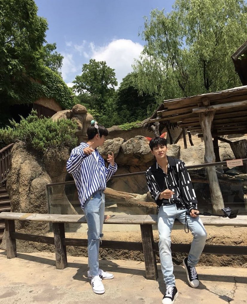 🤍PRINCESONG🤍 tweet media