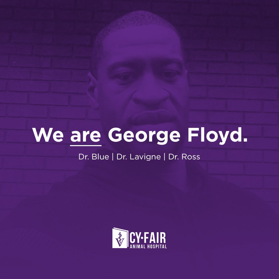 Cy-Fair Animal Hospital (@cyfairah) on Twitter photo 
