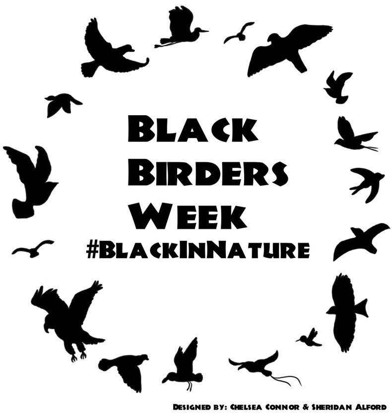 BlackAFinSTEM's tweet photo. LET THE #BlackInNature posts start pouring in!!!! DAY ONE of #BlackBirdersWeek and we’ve already seen some posts!!!! Don’t forget to use the hashtags and tag us in our celebration of Black peers in outdoor spaces 🍃🌿 https://t.co/609ql7xfjU