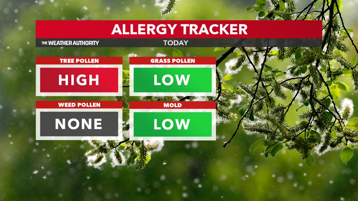 AHardwickWx's tweet photo. ALLERGY 🤧TRACKER >> Tree pollen is in the high category once again for today! Mold count + grass pollen count remains low. #INwx #FOX59morning #AllergyTracker @FOX59 @theWXauthority https://t.co/v7Ln18Yx13