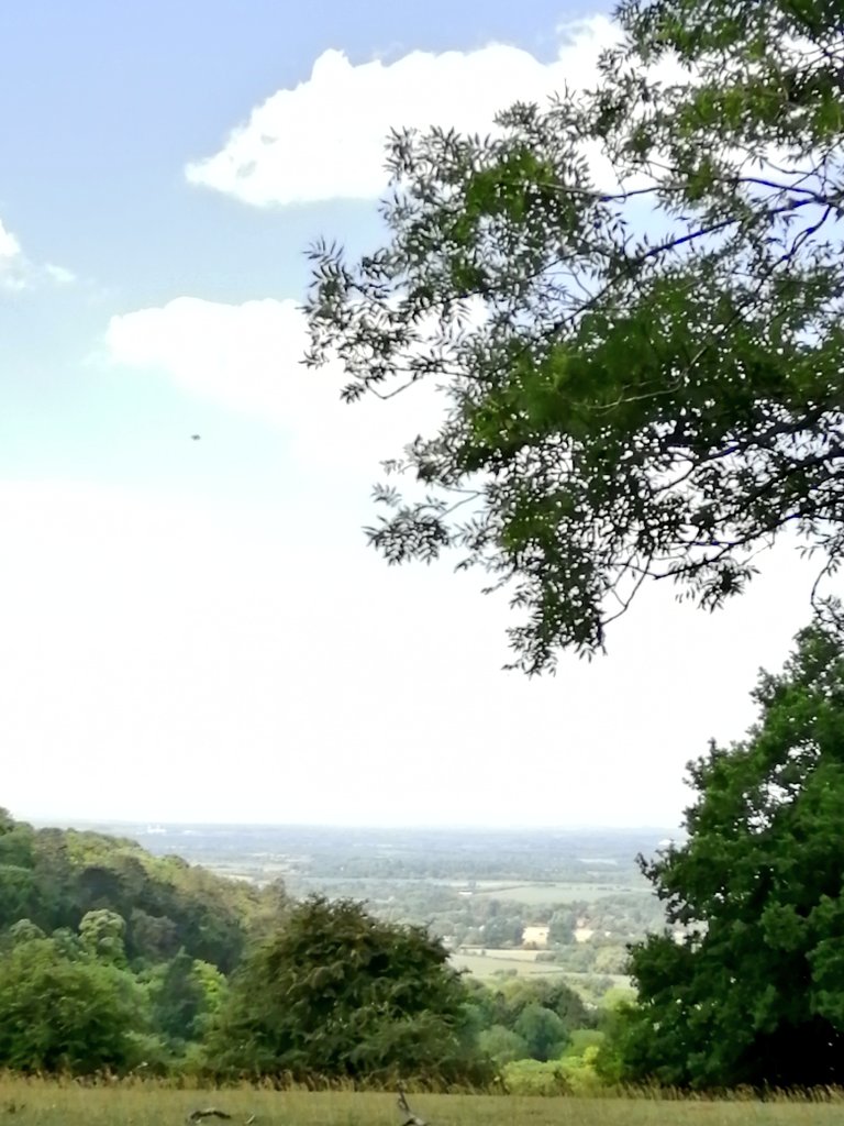 JustAiryThings's tweet photo. Just a gorgeous time in Cowleaze Woods this morning for today's
#MPCVirtualGALA hike.
@MyPeakChallenge @PeakersEngland #MPC2020 #MPCHike @SamHeughan https://t.co/gIxirP5cV5