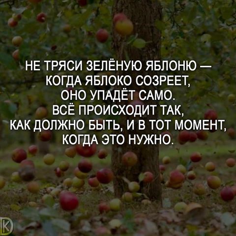 Всё происходит тогда когда должно произойти. Все происходит так как должно быть. Все происходит так как должно быть. Все происходит так как должно быть. Афоризмы о солнце.