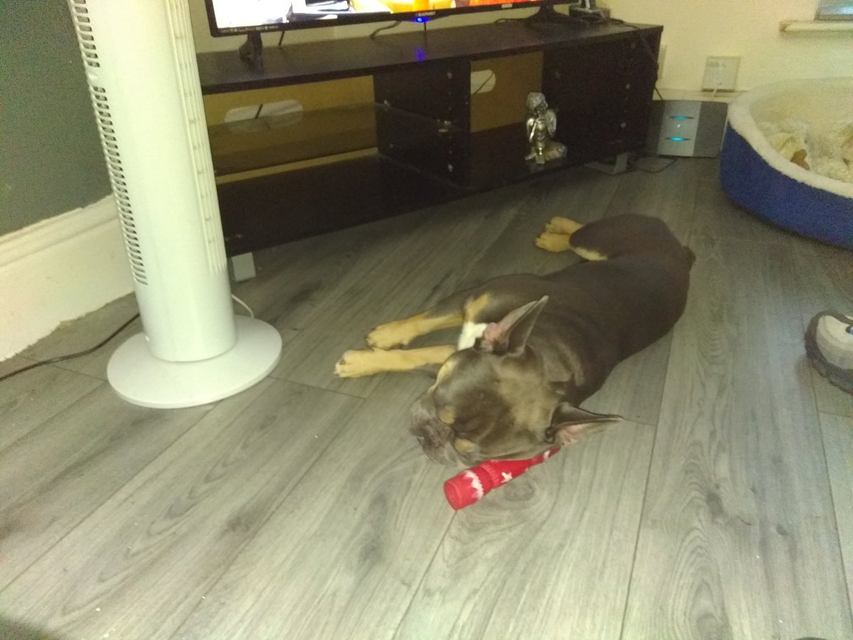 Loving my fan mummy got me feeling the breeze 😋