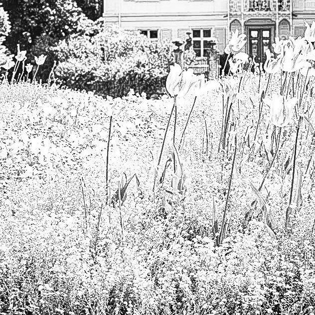 ͙ 𝓑ello ⁺ 𓈒  

                ✿ ˙ 𝓫. aifaii╺  wonyoung  𝟶𝟺’s
                     ⊹  แลกฟอล ♡̷ ตามทัก ୧

ยพท ลฟตท 🗯 ˙   𓈒