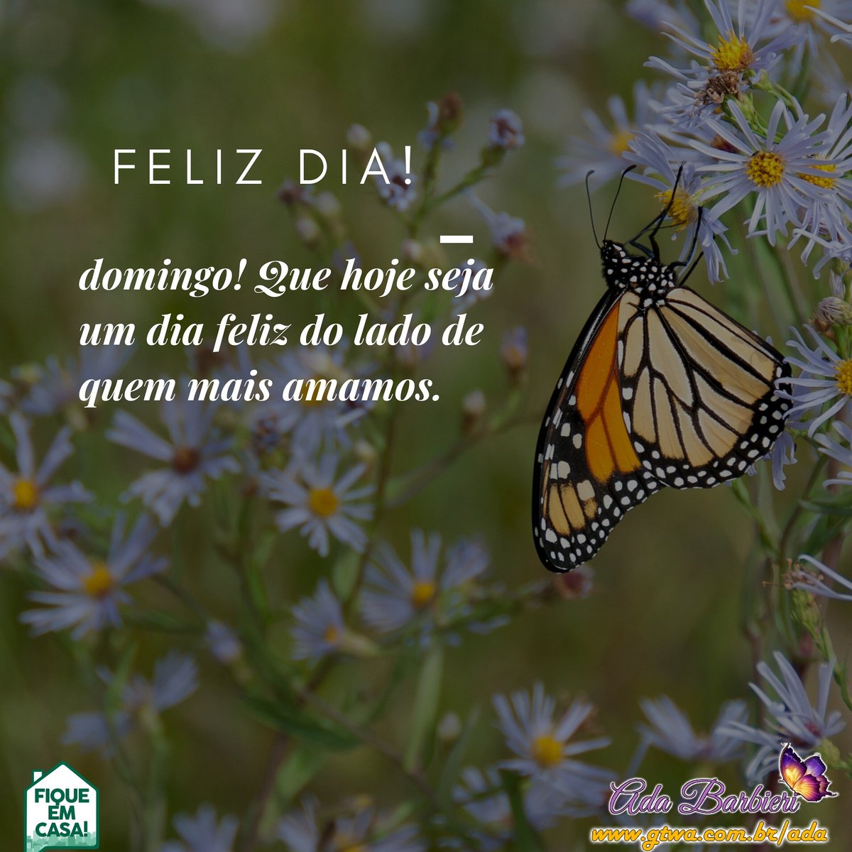 adairbarbieri's tweet photo. Feliz dia!πππ§ββοΈπ€©Happy day!πππ§ββοΈ
#ADABARBIERI #holdon #sigaseussonhos #sejafelizsempre #bomdia #ano2020 #goodmorning #sejagrato #trabalho #teamo #outono2020 #maio #tbt #FiqueEmCasa #adairbarbieri #querocafe #euamoosol
#samostodosviralata #eusouosol #EmCasaSimSozinhoNunca https://t.co/BnFBbDGiar