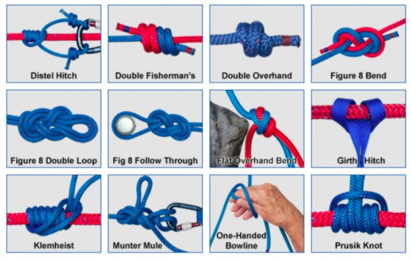 @LockdownUnlocked tweet media