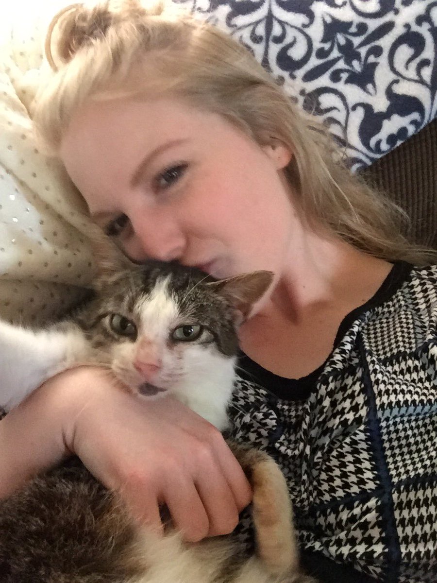RachelGray13's tweet photo. I can’t post on other social media sites because my landlord is on those, and we’re not allowed to have a pet.... BUT LOOK AT MY CAT! She decided to show up about 2 weeks ago, and took up with us 😻 her name is very original... meet Kitty! https://t.co/CWaPMuVyRE