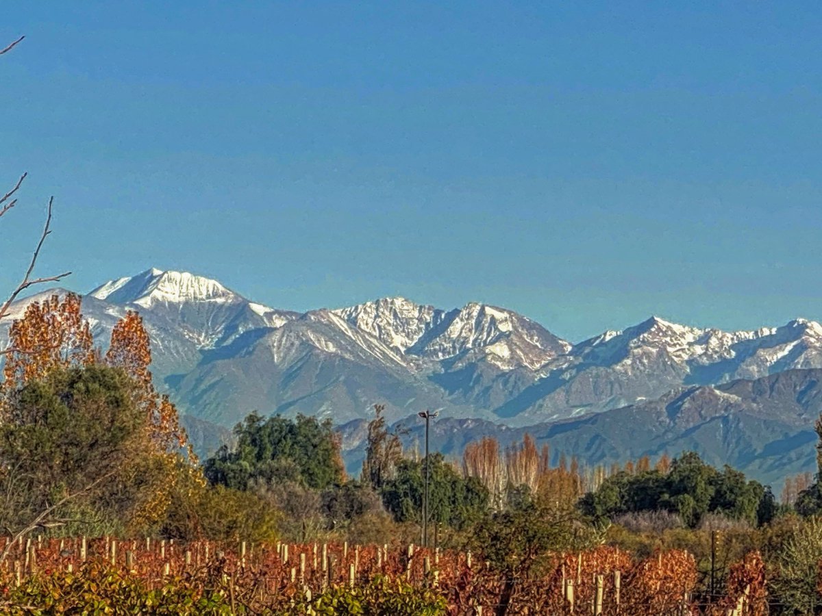Este día inspira a tomar #malbec  #Mendoza