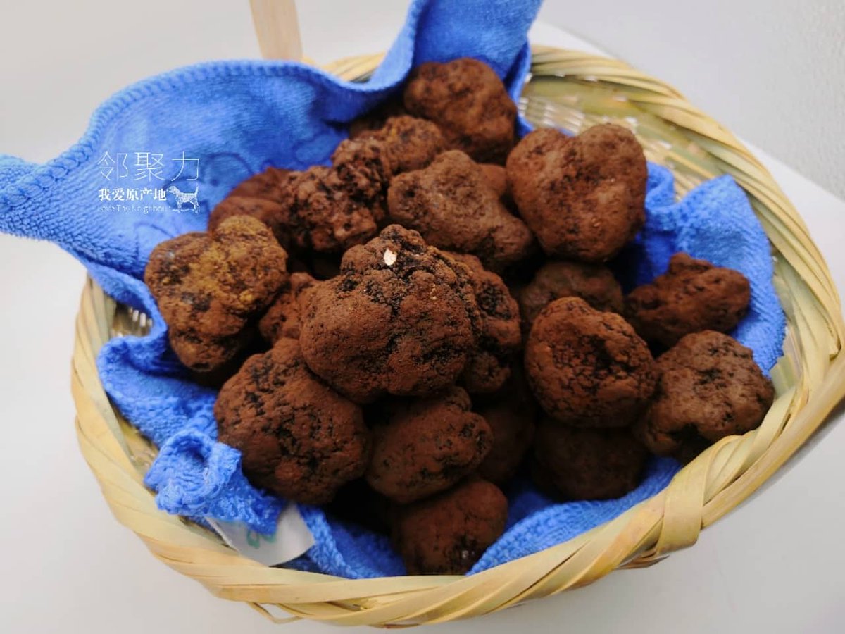 chinesetruffles's tweet photo. #dubaichef #shanghailife #shanghaichef #chinachef #hkchef #bangkokchef #beijingchef #chefstable #trufflehk #mumbaichef #michelinguide #michelinstarchef #frenchrestaurant #italianrestaurant #spanishrestaurant https://t.co/4rlfQ5agvu