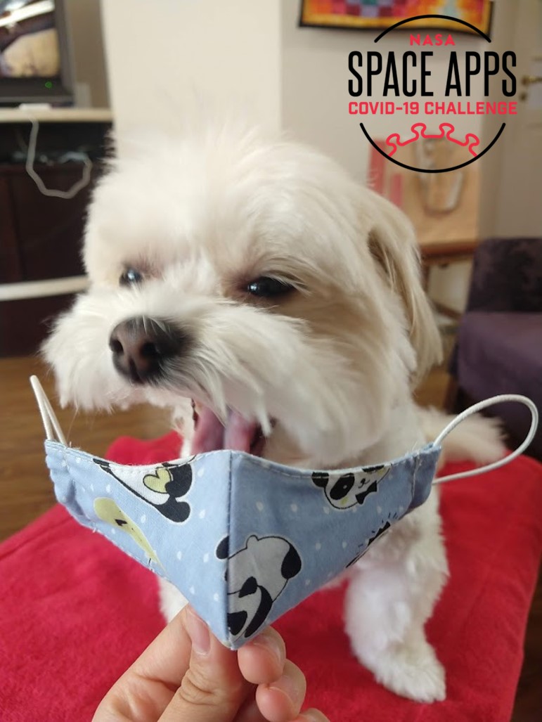 GSpaceapps's tweet image. A Lola recomenda: 
#FiqueEmCasa, mas se precisar sair, use máscara e #gosafe
@spaceappsbrazil