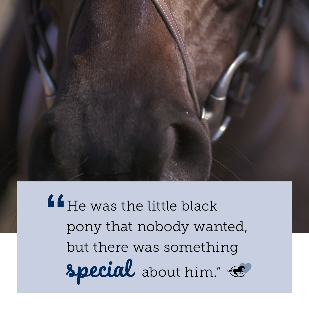 SmartPak's tweet photo. Even for a professional like Boyd Martin (@WindurraUSA), there are horses that come into our lives that truly surprise us. Stay tuned for the premier of Horses with Heart here , Saturday, June 6th at 12PM EST to hear how a 'little black pony' made a big impression.
#TeamSmartPak https://t.co/fCXazvAiUW