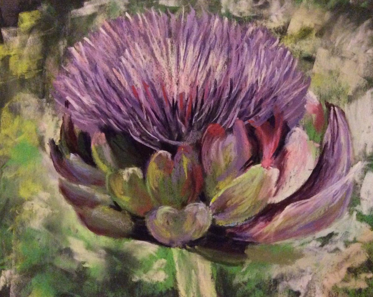 AlwoodleyArt's tweet photo. Globe artichoke good enough to eat/ capture in paint #globeartichoke #artists #art #vegetables #food #rawfood #fieldflowers #instart #instagram #instadraw #instaartsy #instaartists #painting #paintings #paintingoftheday #yorkshire #artistsofinstagram #artistsofig #leeds #bbcart https://t.co/7l0UagEdzK