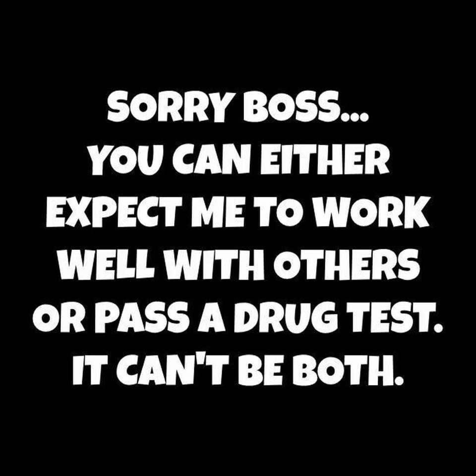 cassiefedora's tweet photo. @gawill23 Hahahahaha gah this is literaly my last pic https://t.co/pLSMvntBj3