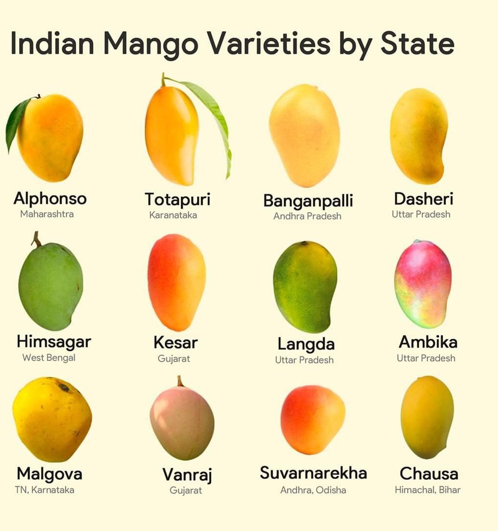 LaGravitea's tweet photo. Congratulations 🎉 Seema Manchanda Mehan for winning #LaGravitea #TangoWithMango #Contest No.14.

Your Prize will be delivered at your doorstep on June 01, 2020.

#ContestAlert
#GiveAways
#PlayToWin
#LockDownPuzzles

Keep following https://t.co/pxD7yzUK3s

https://t.co/uiWX4Mcjgw https://t.co/zBlFKJwcre