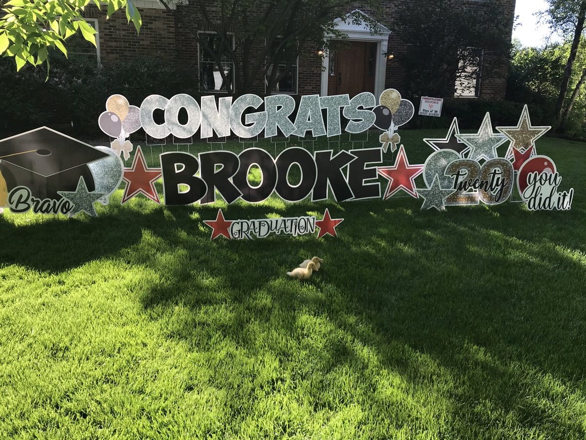 Brooke’s baby ducks wanted to say congrats to Brooke on HS graduation day!  Your new friends wanted to say they are so proud ⁦<a href="/BenetGBB/">Benet Girls Basketball</a>⁩ ⁦<a href="/bschramek3/">Brooke</a>⁩ ⁦<a href="/BadgerWBB/">Wisconsin Women’s Basketball</a>⁩