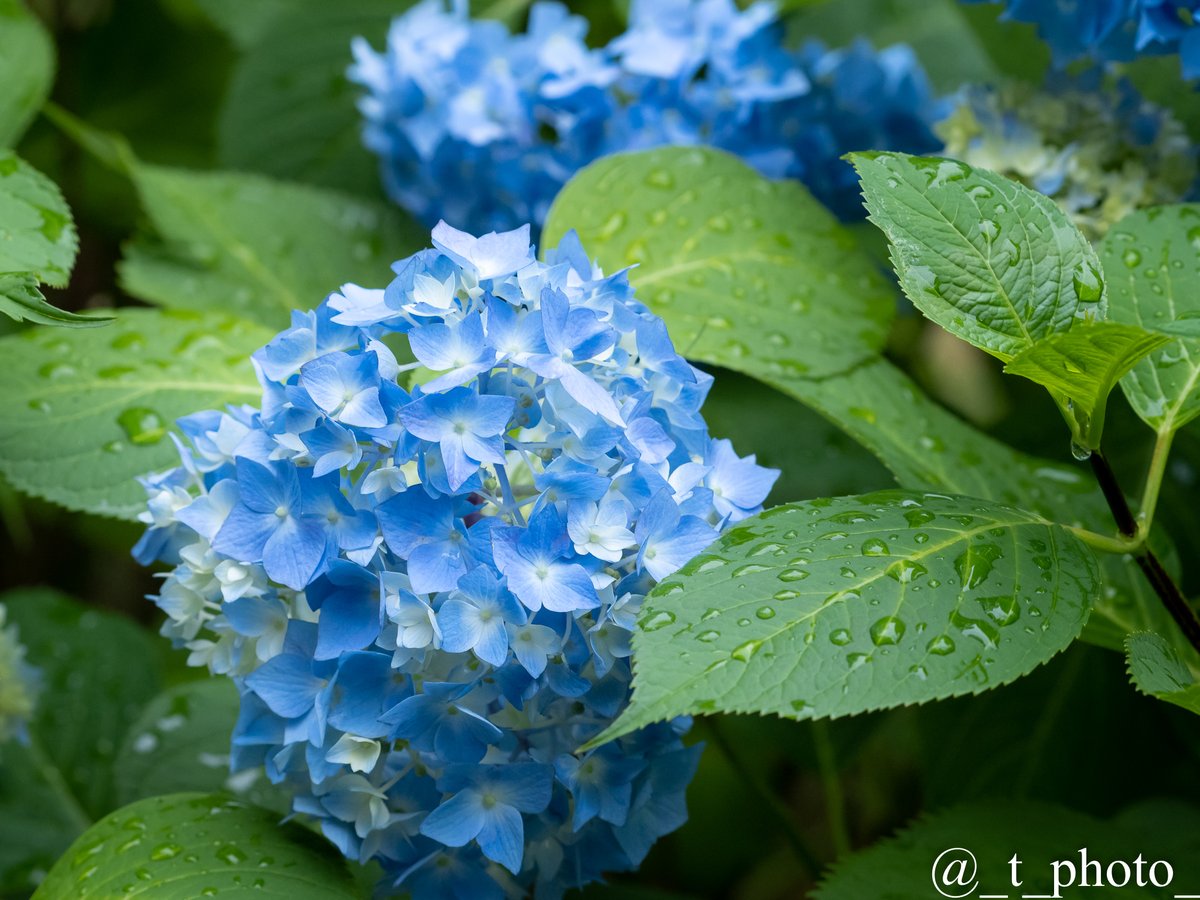 雨の日も悪くない