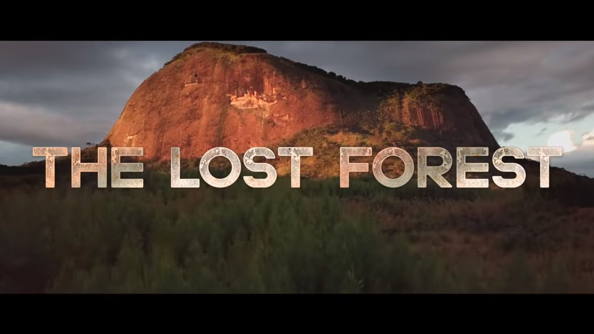 The Lost Forest | youtube.com/watch?v=aDoanN…

#NationalGeographic #TheLostForest #NobelPeacePrizeShorts

#OnlyLove 💓🌍🙏