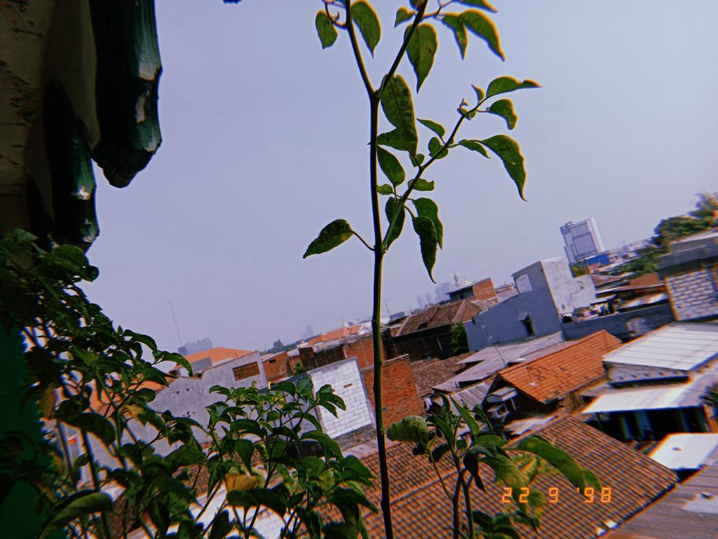 mpieeed's tweet image. S. Hari Jadi Surabaya
Semoga lekas pulih
 #Surabaya727