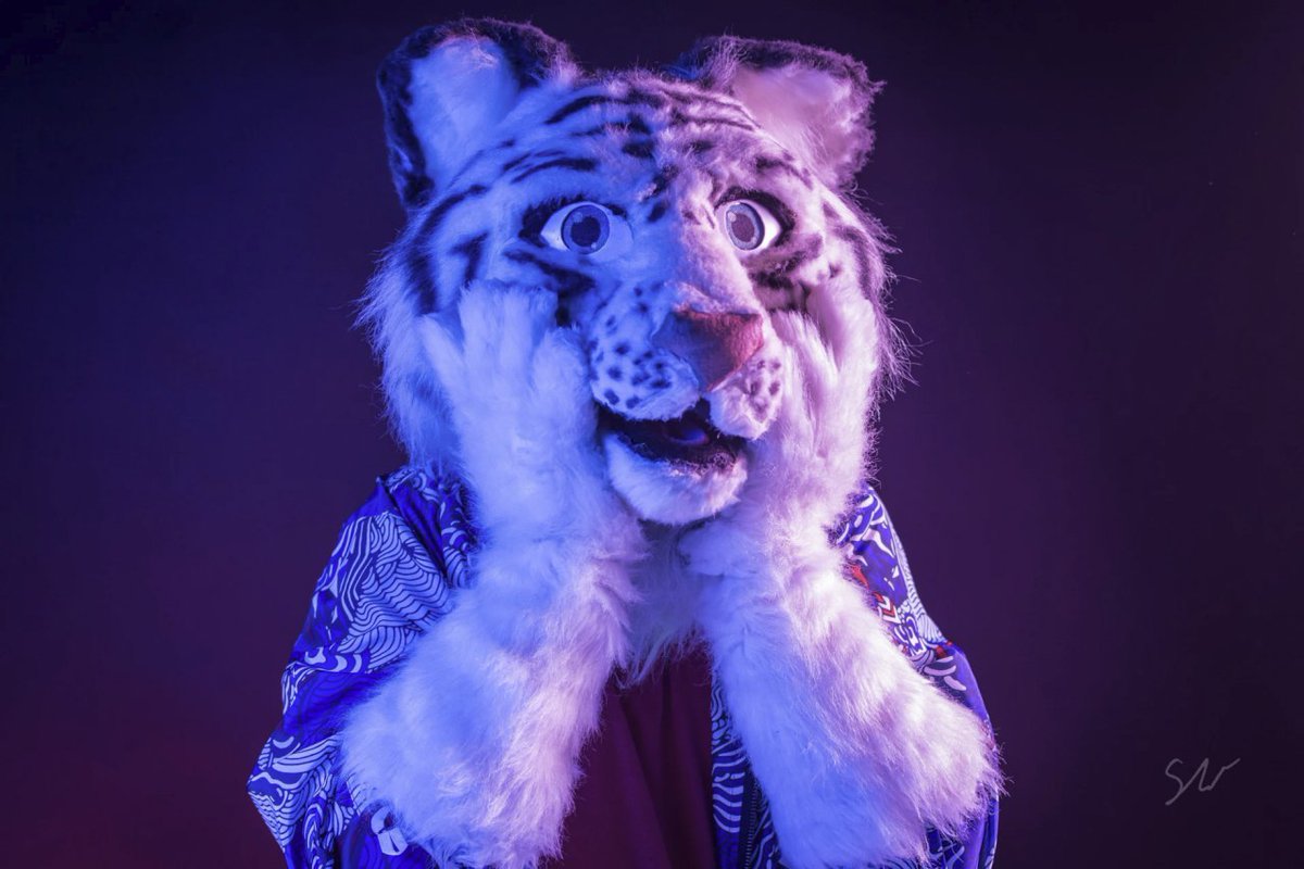 Marcan Tiger 🎧🎵🪩 🔜 Gdakon, Furpile tweet media