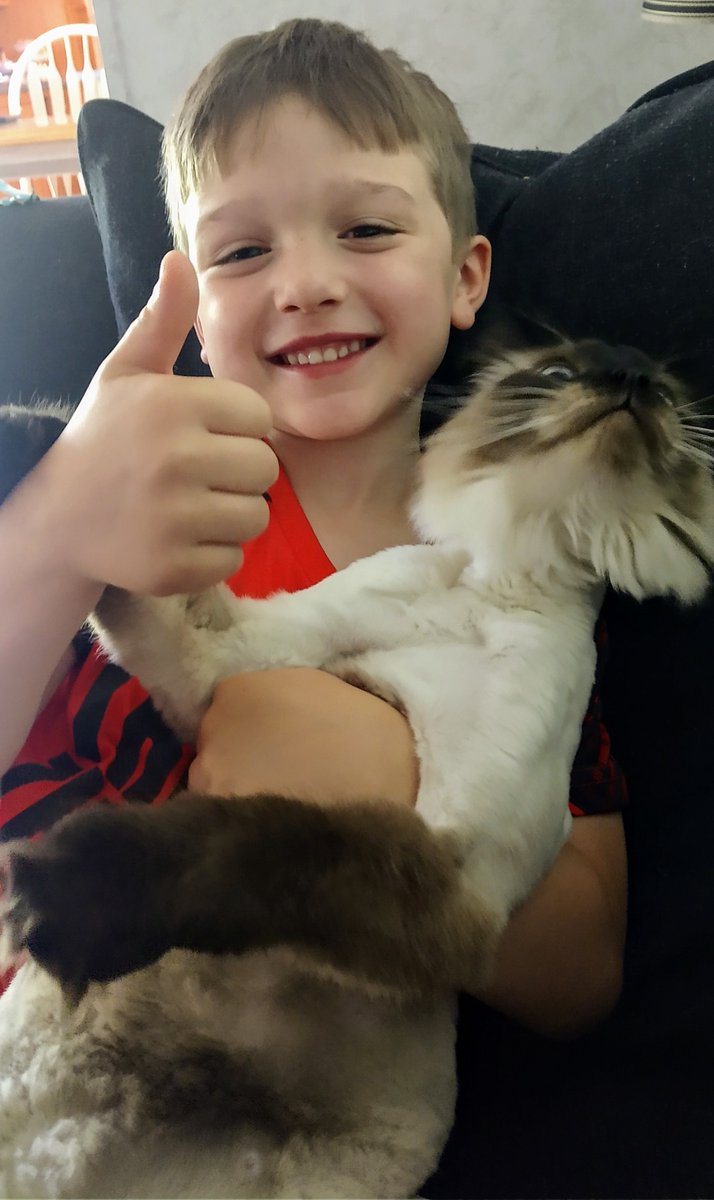 WESpolarbears's tweet photo. And the #ThumbsUpSelfies continue as our students wrap up the school year and complete the final #PrideLearningBoard - #HighFives to this K student who was persistent and met the goal! #TeamNorthern #WESdriven2succeed https://t.co/7DcPTAzqZW