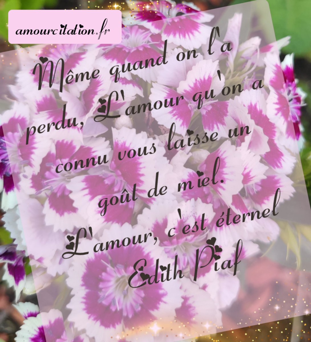 Amour Citation Amourcitation8 Twitter