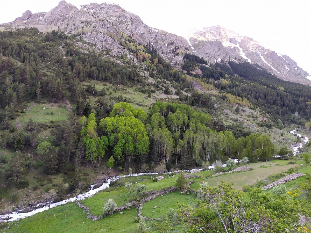Artabel Gölleri Tabiat Parkı / Gümüşhane
(Fotoğraf: Fatih Arslan)
