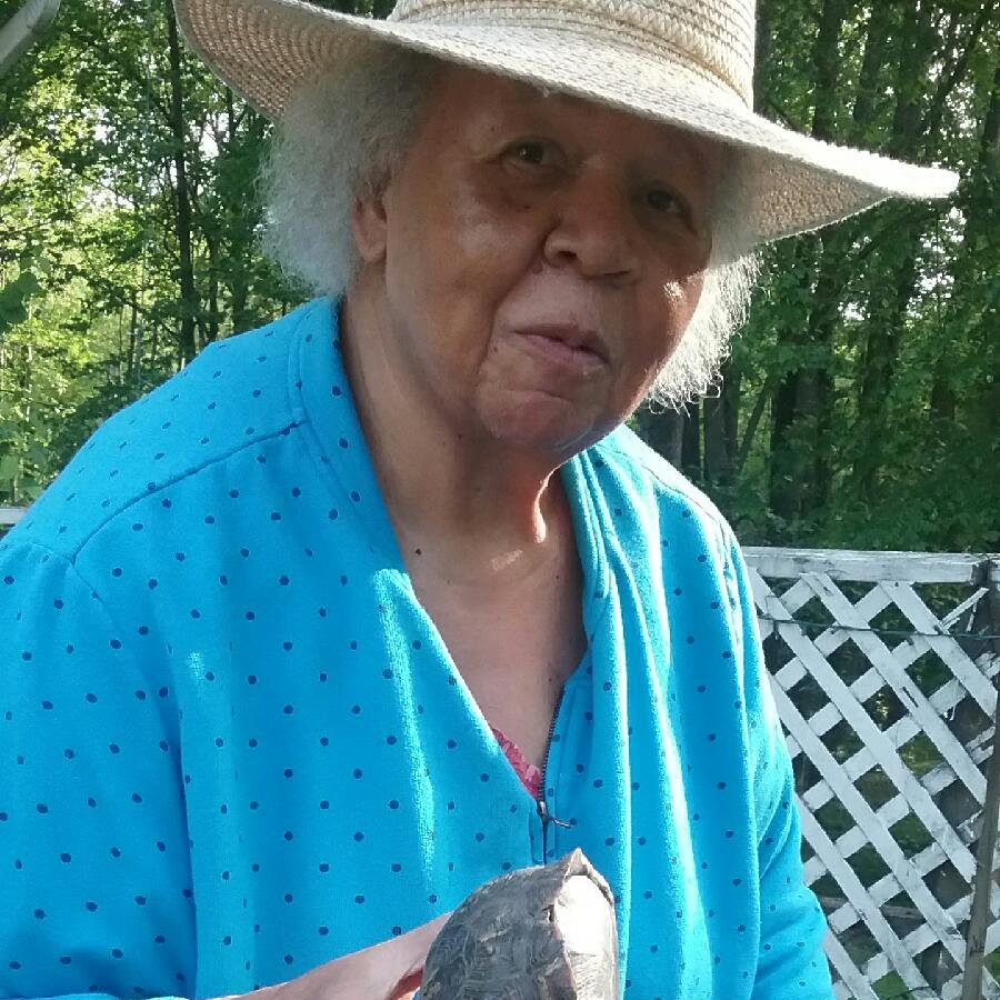 Melissa E. Kemp (@melisabetta) on Twitter photo I owe my love of nature to my ancestors: from my 3x great-grandpa who bought our family's land after Emancipation, to my grandmother who star-gazed and gardened with me on that same land. She also taught me mark recapture! #BlackInNature <a href="/BlackAFinSTEM/">BlackAFinSTEM</a> I owe my love of nature to my ancestors: from my 3x great-grandpa who bought our family's land after Emancipation, to my grandmother who star-gazed and gardened with me on that same land. She also taught me mark recapture! #BlackInNature <a href="/BlackAFinSTEM/">BlackAFinSTEM</a>