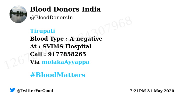 BloodDonorsIn's tweet photo. #Tirupati
Need #Blood Type :  A-negative
At : SVIMS Hospital
Number of Units : 2
Primary Number : 9177858265
Secondary Number : 8143145969
Patient : Shyam
Illness : Surgery 
Via: @molakaAyyappa
#BloodMatters
Powered by Twitter https://t.co/3TYJkVioxF