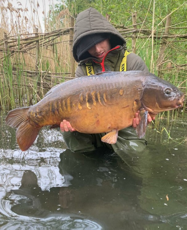 FFCBAITS's tweet photo. New Thripster users getting pbs and lake records...business as usual. Well done guys 🎣
https://t.co/ylVkmuVXpp https://t.co/lfqELkvyBM